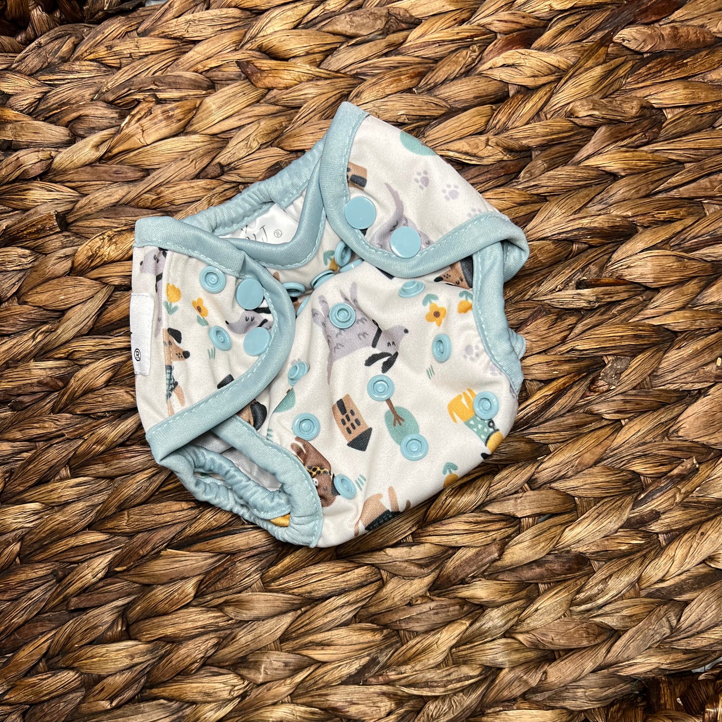 Newborn Cover, Dog Park